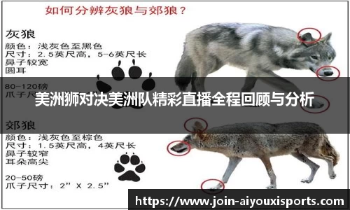 爱游戏ayx官网